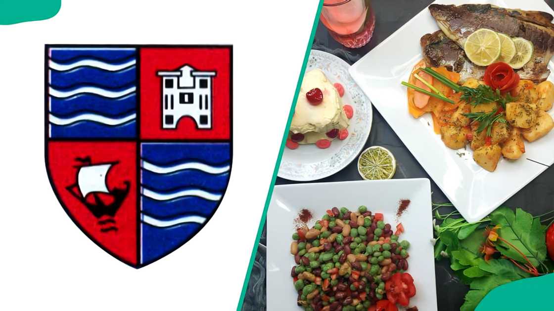 Wavecrest Hospitality College logo and sample food Wavecrest Hospitality College logo and sample food