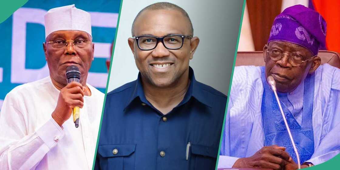 Tinubu, Obi, Atiku, tribunal, APC, PDP, LP, 2023