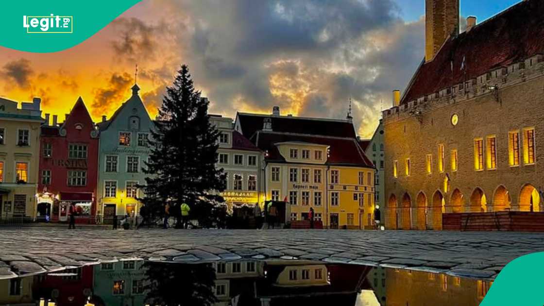 EU nationals can enter Estonia hassle-free EU nationals can enter Estonia hassle-free
