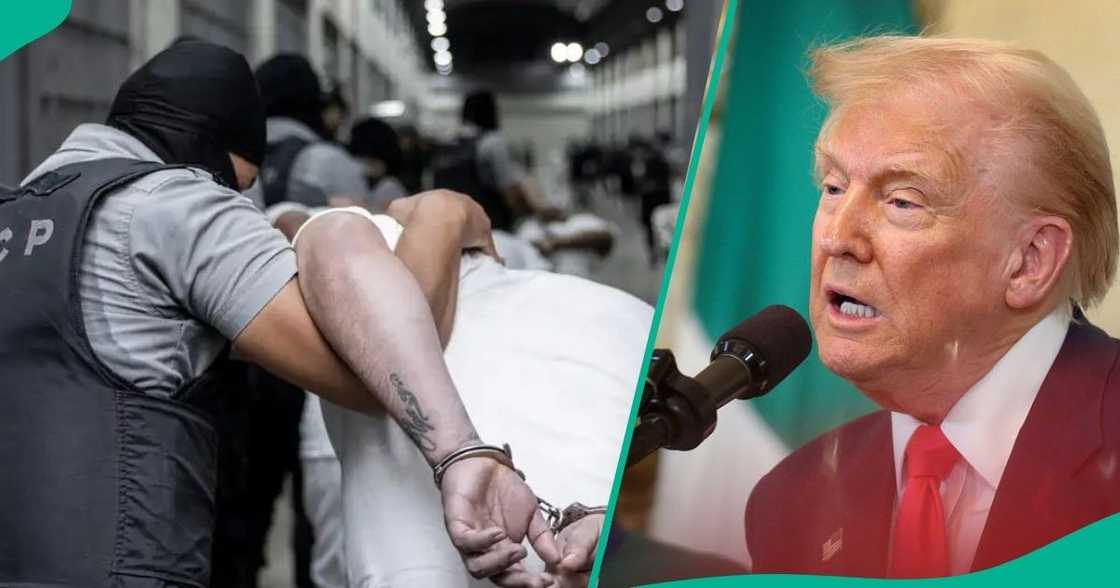 Despite a legal injunction, the US has initiated widespread deportations of Venezuelans. Despite a legal injunction, the US has initiated widespread deportations of Venezuelans.