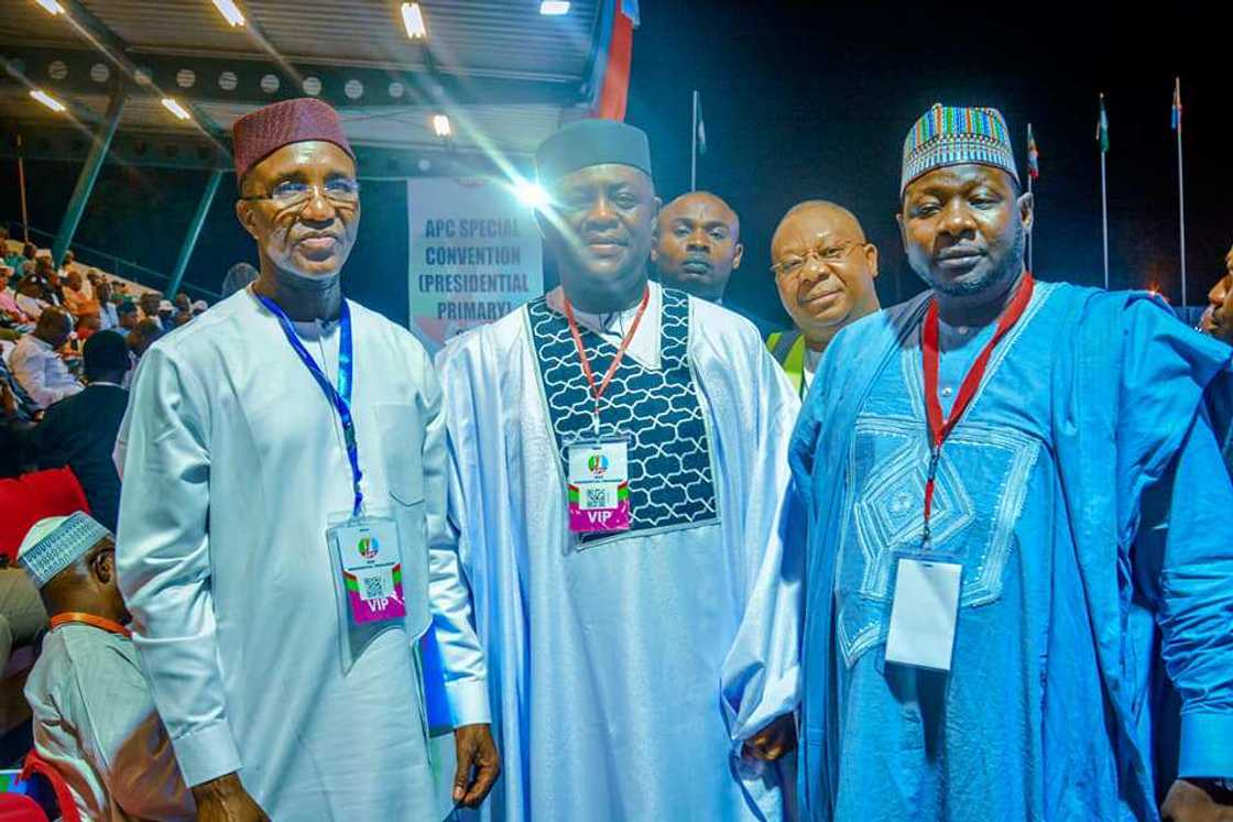 Femi Fani-Kayode/APC/2023 Elections Femi Fani-Kayode/APC/2023 Elections