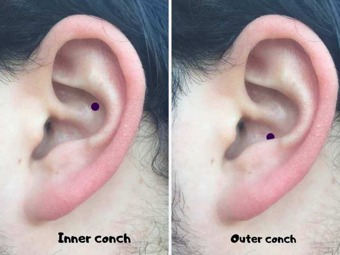 Conch Piercing