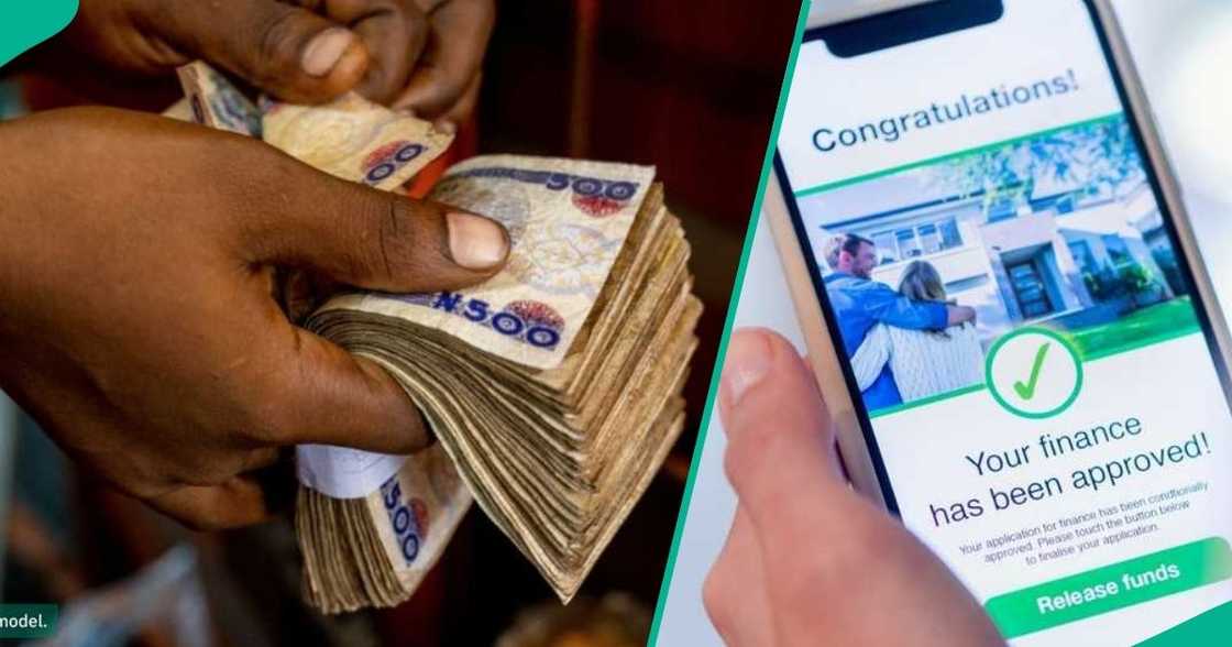 CBN: Private sector credit grows to N700.31trn in 2025 CBN: Private sector credit grows to N700.31trn in 2025