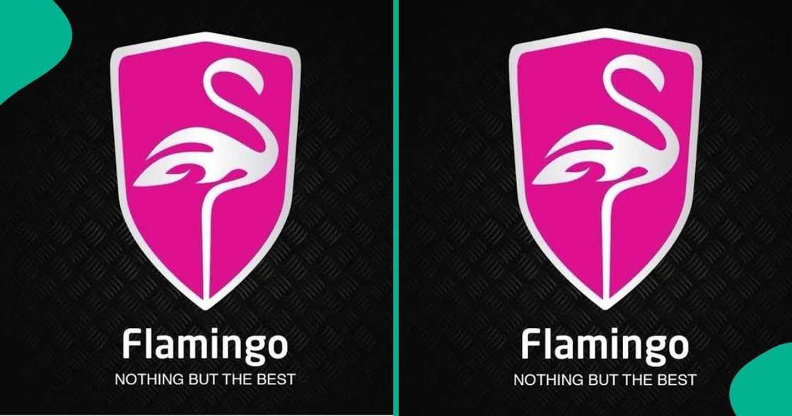 Firm announces its expansion into Nigeria, details emerge Firm announces its expansion into Nigeria, details emerge