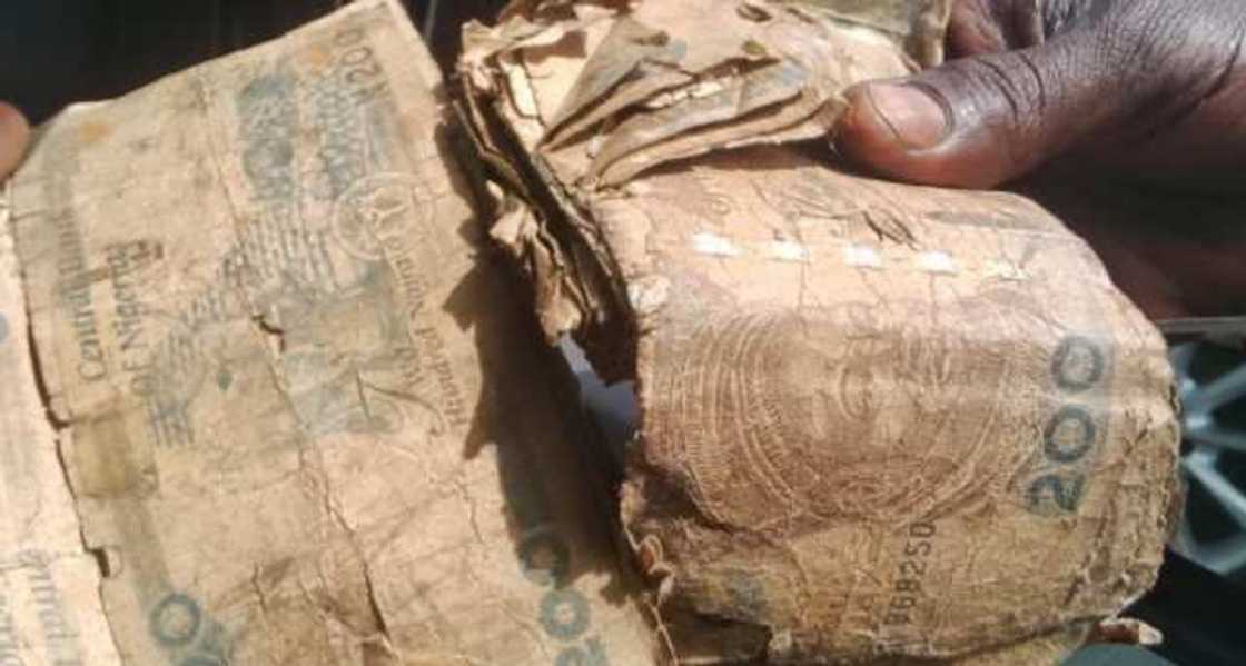 Gwamnatin tarayya ta kashe N538m wajen zubar da tsofaffin kudi guda1.51bn Gwamnatin tarayya ta kashe N538m wajen zubar da tsofaffin kudi guda1.51bn