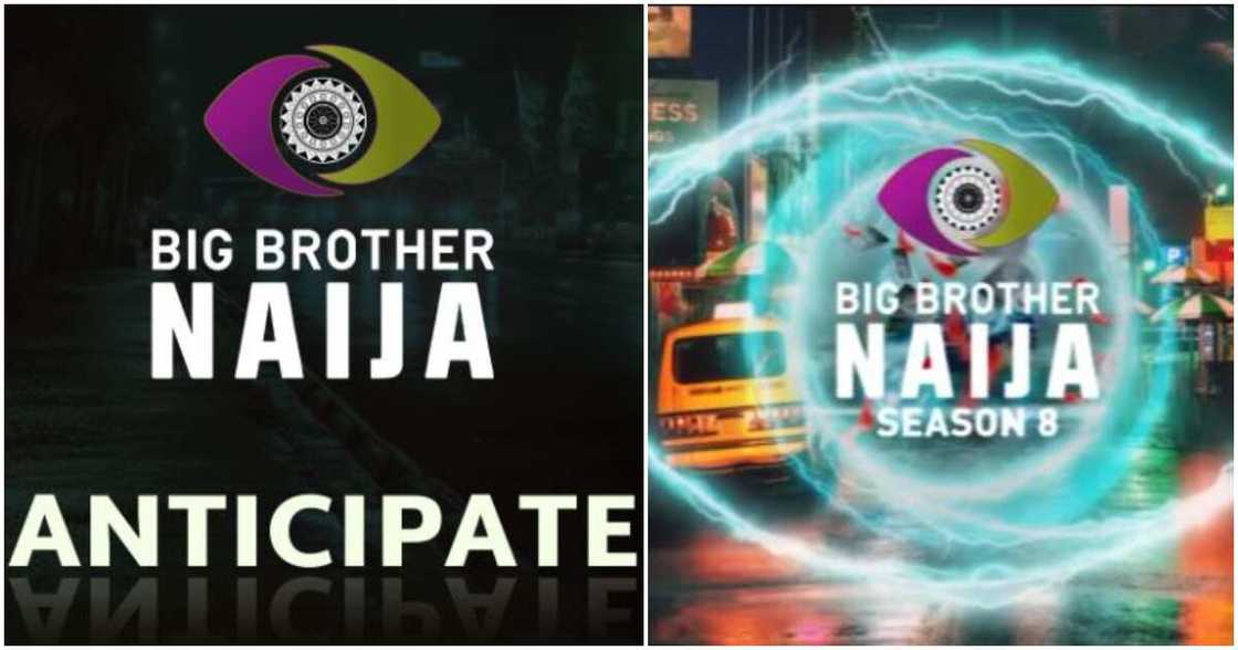 Big Brother Naija logo Big Brother Naija logo
