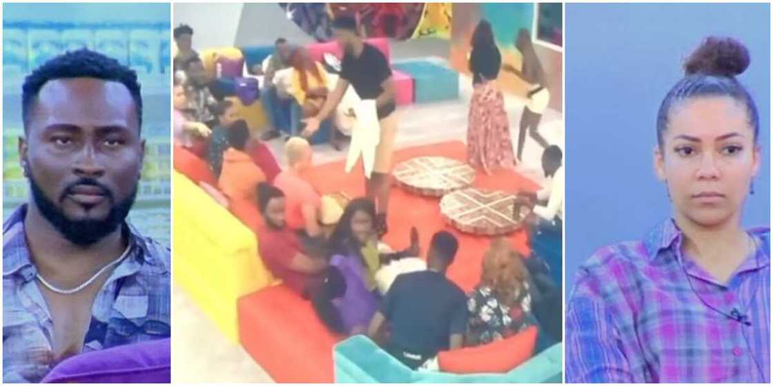 BBNaija 2021, wild cards BBNaija 2021, wild cards