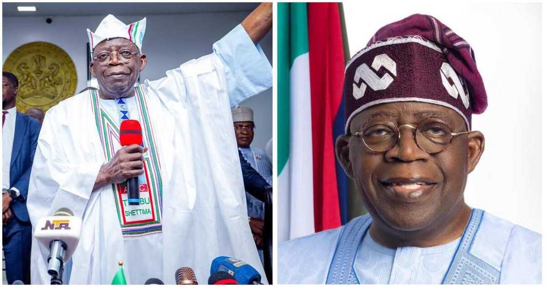 Tinubu's spokesperson/ Tinubu's media aides/ Tinubu's appointment/ Tinubu's cabinet member Tinubu's spokesperson/ Tinubu's media aides/ Tinubu's appointment/ Tinubu's cabinet member