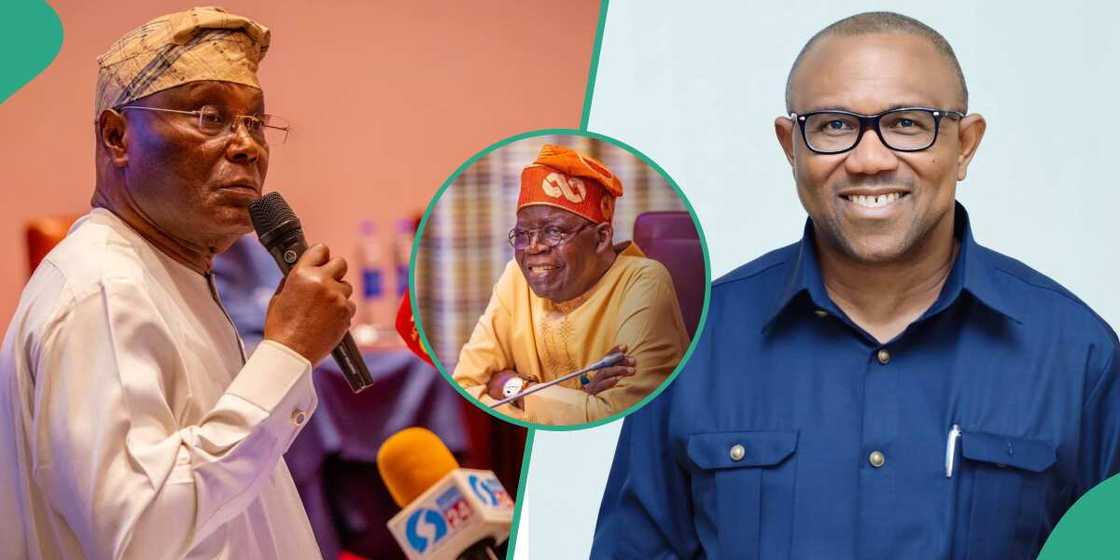 Peter Obi, Atiku, Bola Tinubu, APC, PDP, LP, Tribunal Peter Obi, Atiku, Bola Tinubu, APC, PDP, LP, Tribunal