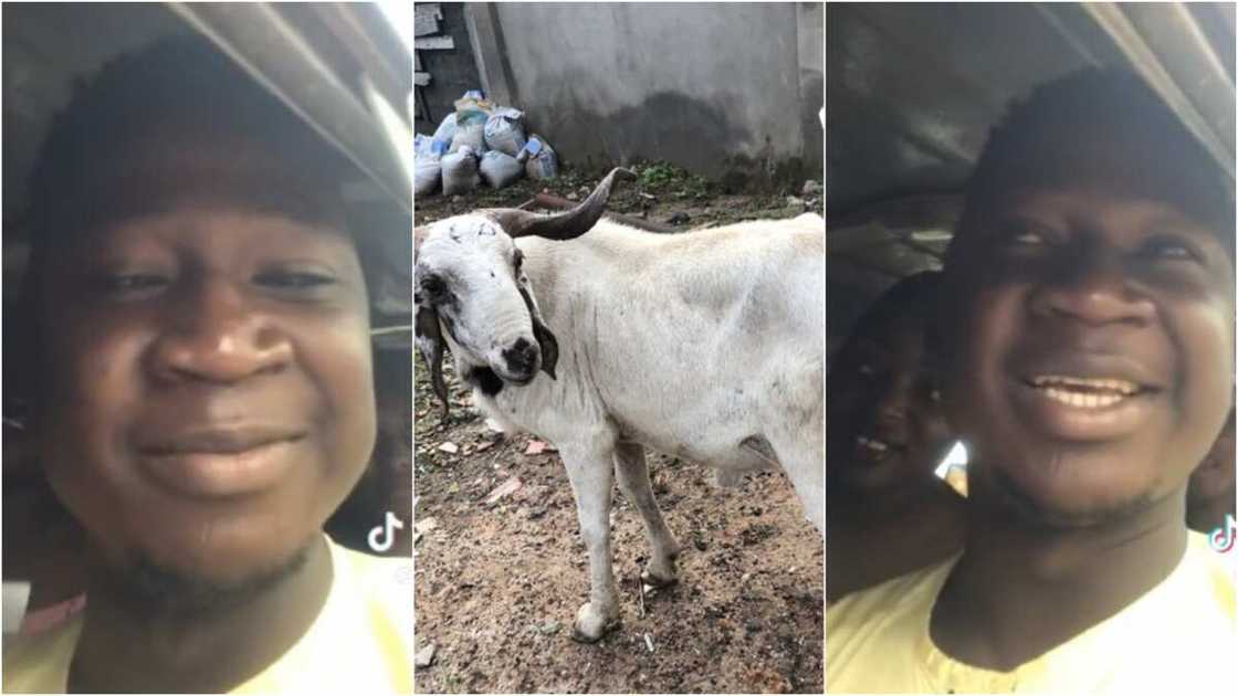 Ileya celebration hardship Ileya celebration hardship