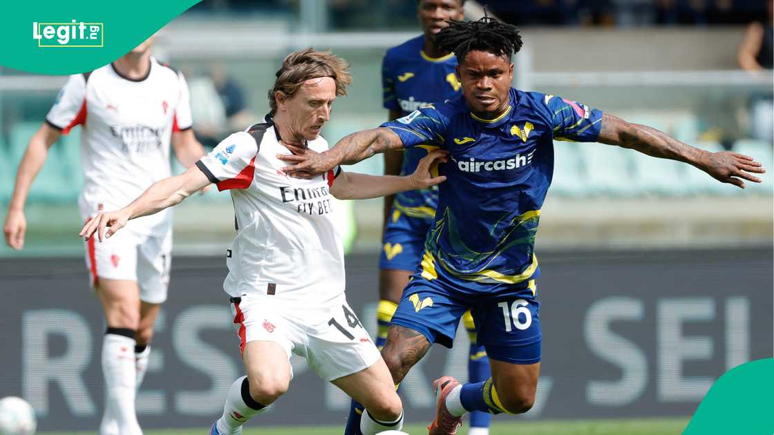 Luka Modric, Gift Orban, AC Milan, Hellas Verona, Italy.