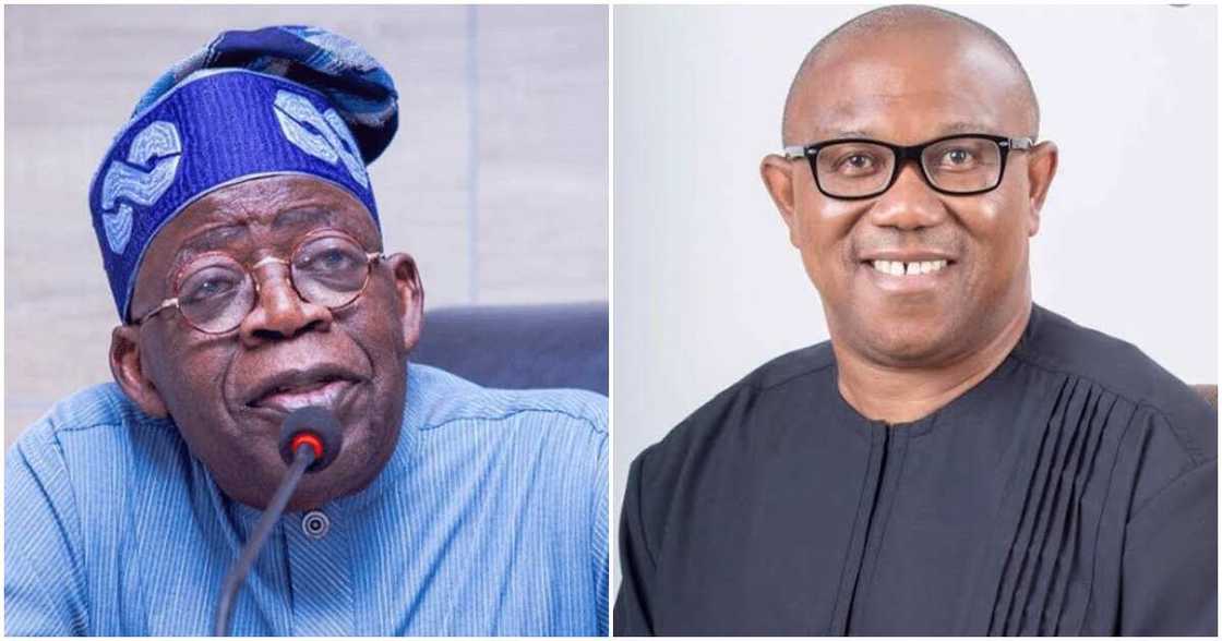 Bola Tinubu, INEC, APC, PDP, Labour Party, Peter Obi, Rivers state, 2023 election Bola Tinubu, INEC, APC, PDP, Labour Party, Peter Obi, Rivers state, 2023 election