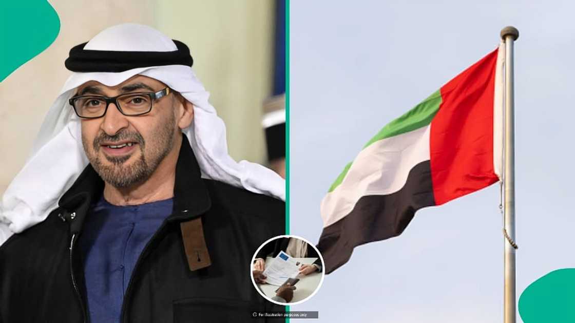 UAE launches special Job Seeker Visa for foreigners, explains conditions