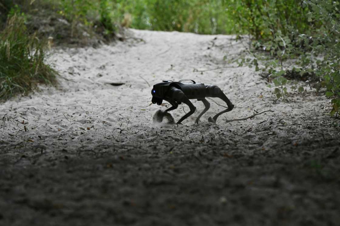 The robot dogs can operate for up to two hours