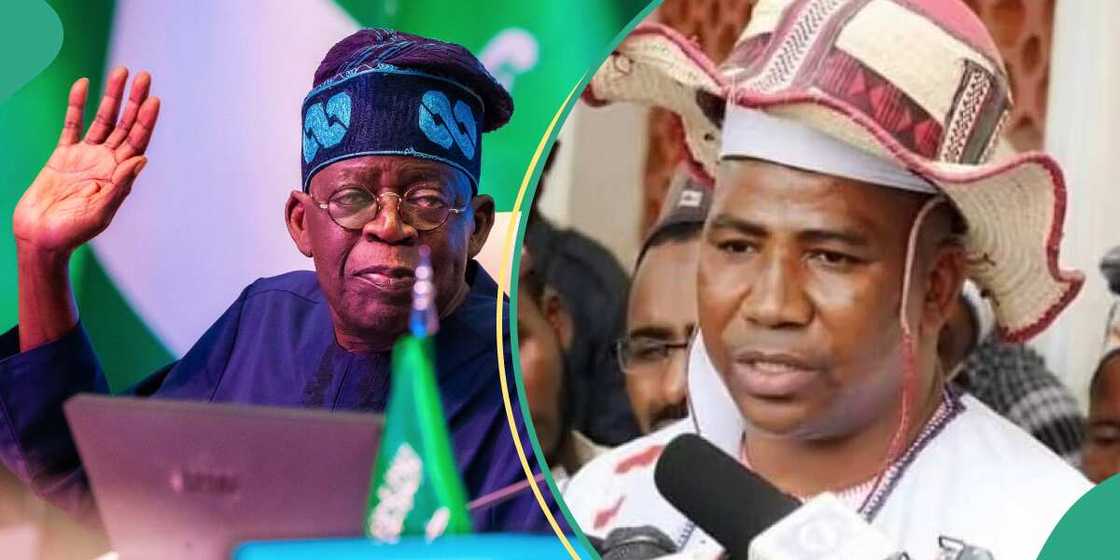 Miyetti Allah speaks as Tinubu creates ministry of livestock development