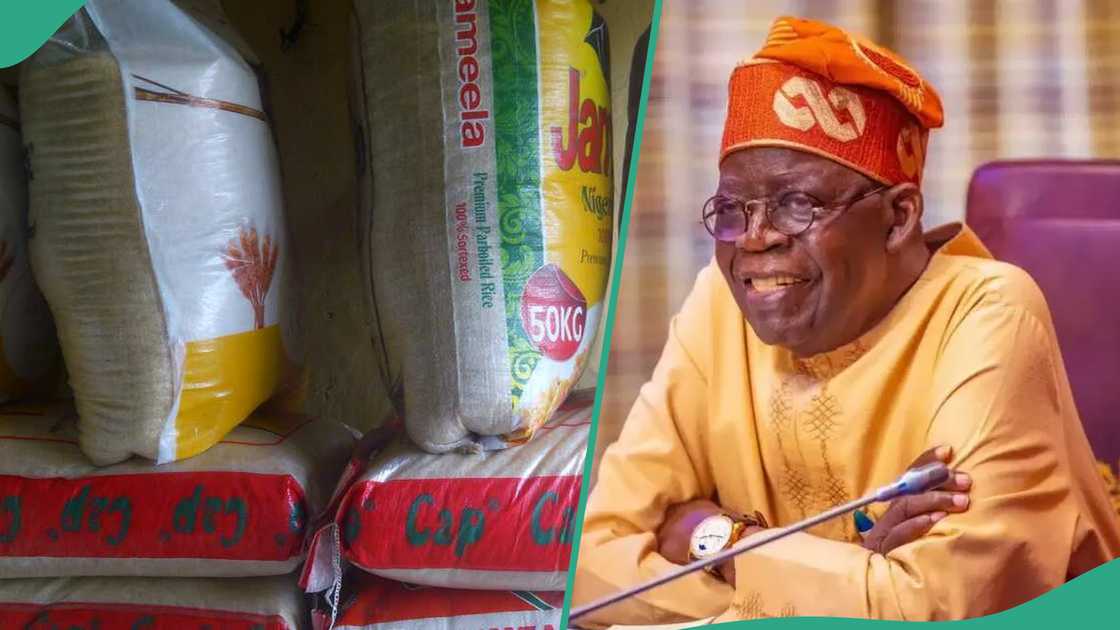 Nigerians to buy FG's cheap rice for N40k