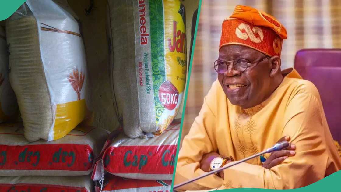 Nigerians to buy FG's cheap rice for N40k Nigerians to buy FG's cheap rice for N40k