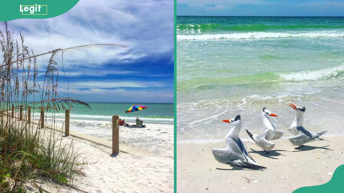 Whitney Beach Whitney Beach