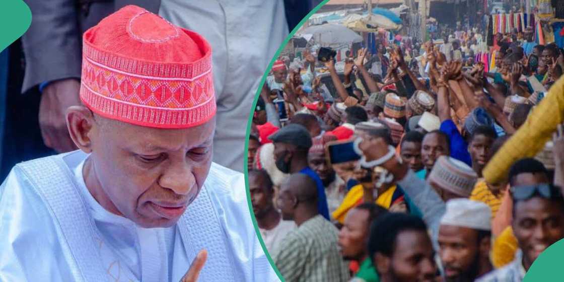 Kano state, NNPP, Abba Yusuf, appeal court, APC, Gawuna Kano state, NNPP, Abba Yusuf, appeal court, APC, Gawuna