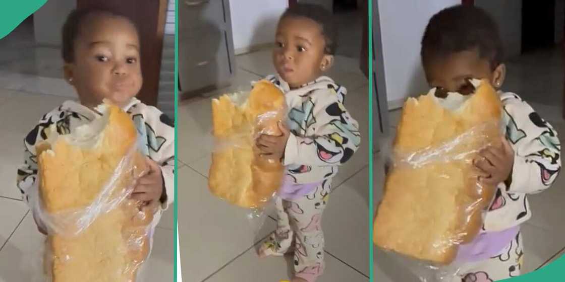Baby secures big loaf of bread for herself. Baby secures big loaf of bread for herself.