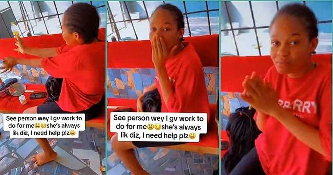 Woman catches apprentice singing Shalipopi's song on duty Woman catches apprentice singing Shalipopi's song on duty