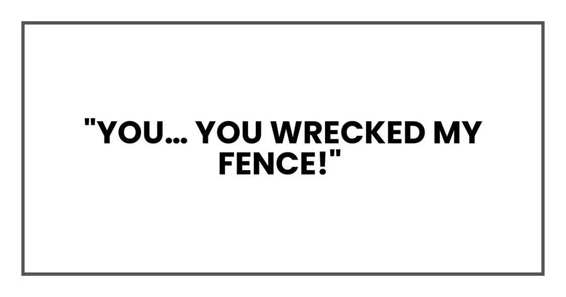 "You… you wrecked my fence!" "You… you wrecked my fence!"