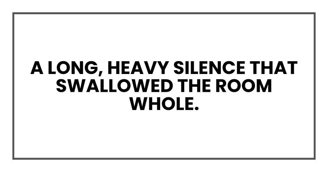 A long, heavy silence that swallowed the room whole