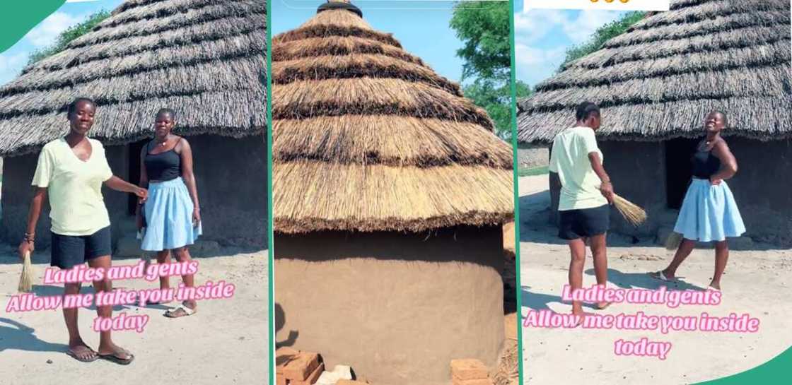 Thatched house in the countryside.