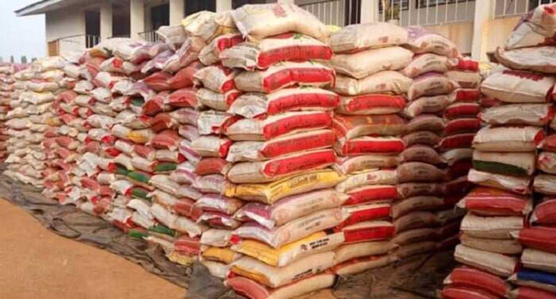 500 Bags of Rice 500 Bags of Rice