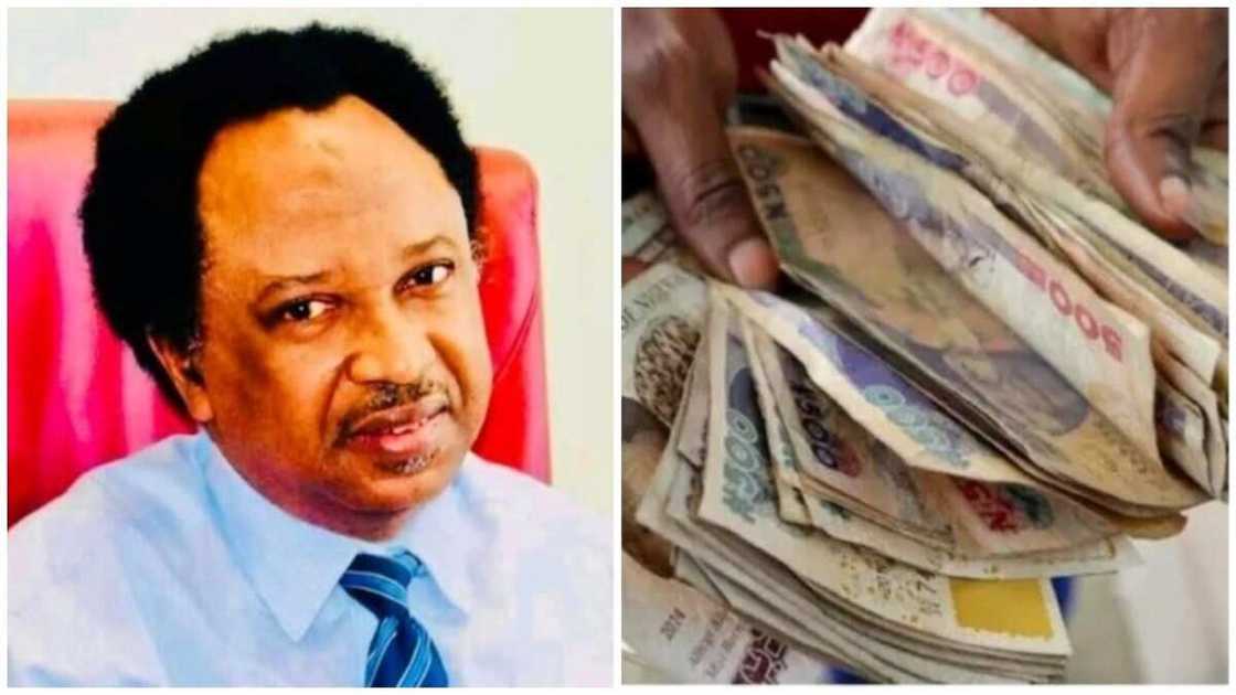 Shehu Sani, old naira notes, vote-buying, new naira notes, CBN