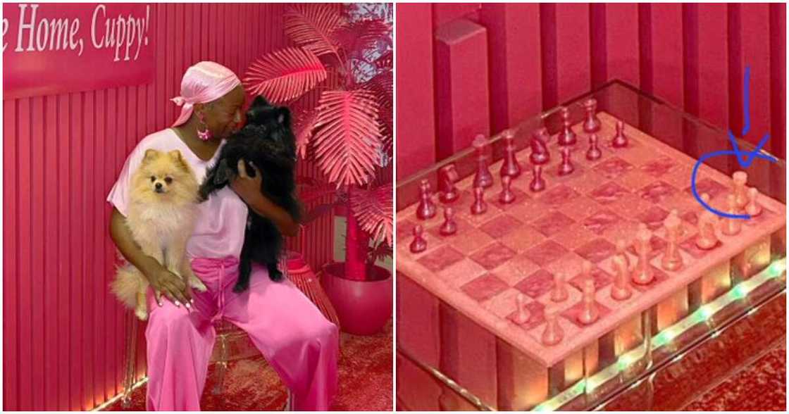 EFCC, DJ Cuppy, London, Pink House EFCC, DJ Cuppy, London, Pink House