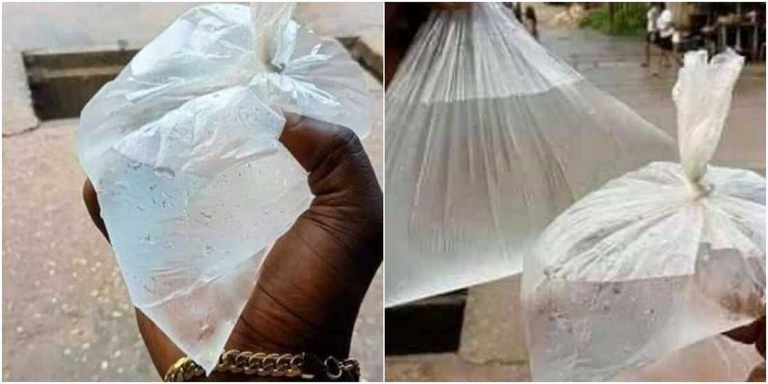 It's typhoid and Cholera you're looking for: Massive reactions as popular 'ice' water resurfaces in Abia It's typhoid and Cholera you're looking for: Massive reactions as popular 'ice' water resurfaces in Abia