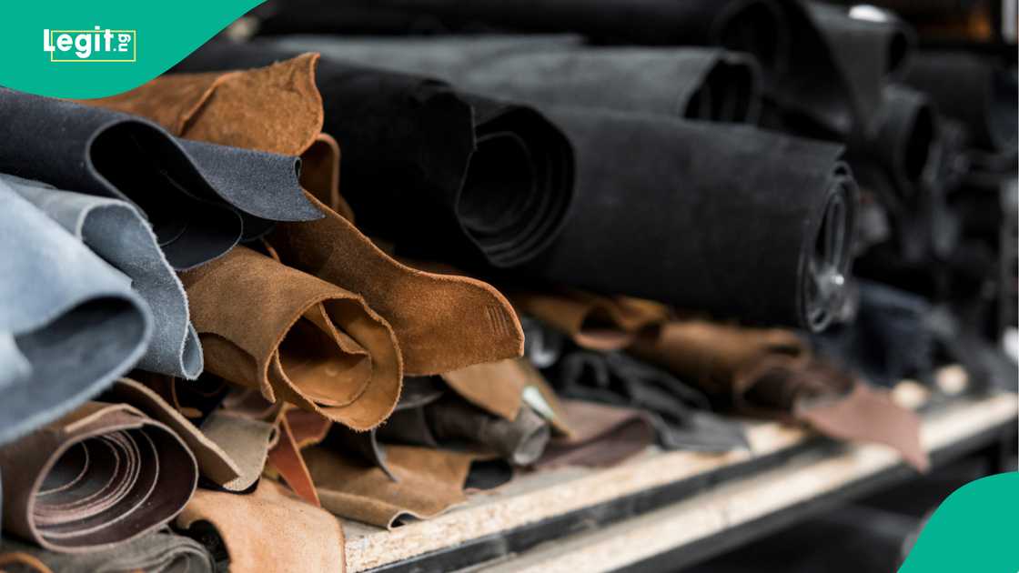 PhD holder joins Katsina youths in 10-day leatherworks PhD holder joins Katsina youths in 10-day leatherworks