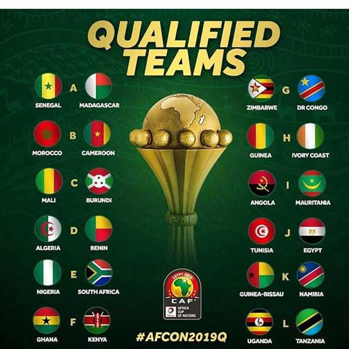 African cup of nations 2019