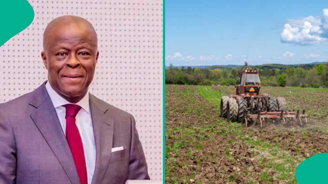 Ministan kudin Najeriya da wata gona a gefen dama Ministan kudin Najeriya da wata gona a gefen dama