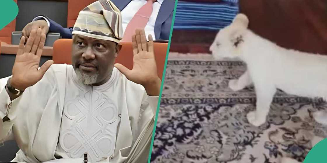 Dino Melaye visits a friend's house in Dubai. Dino Melaye visits a friend's house in Dubai.