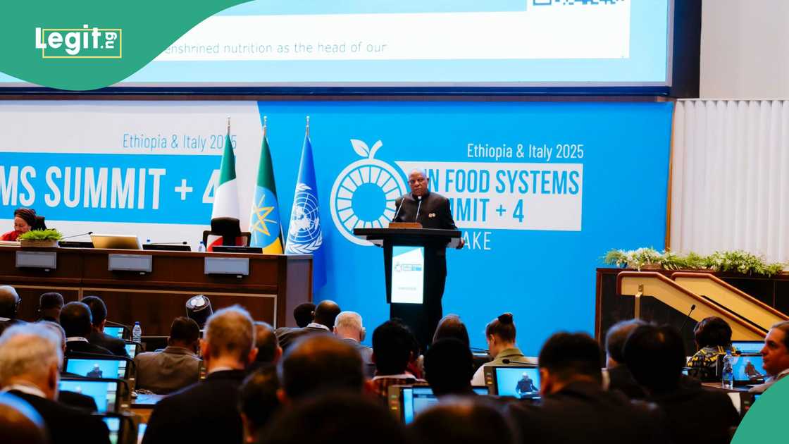 UN summit: Kashim Shettima speaks on reason for state of emergency declaration UN summit: Kashim Shettima speaks on reason for state of emergency declaration