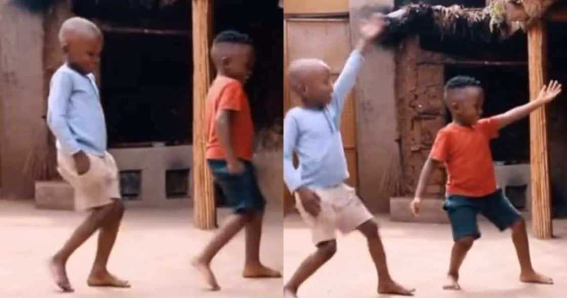 Video 2 boys dancing to Jerusalema goes viral Pls export
