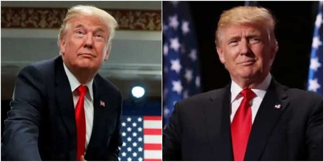 Donald Trump Donald Trump