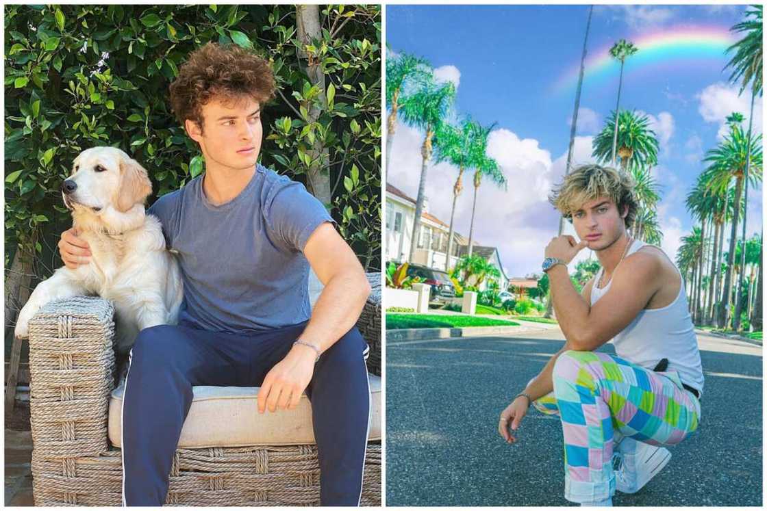 Topper Guild Topper Guild