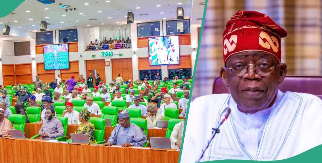 Samoa Agreement: Reps tackle Tinubu