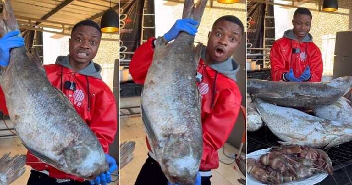 Ola of Lagos posts video of N5.7 million fish