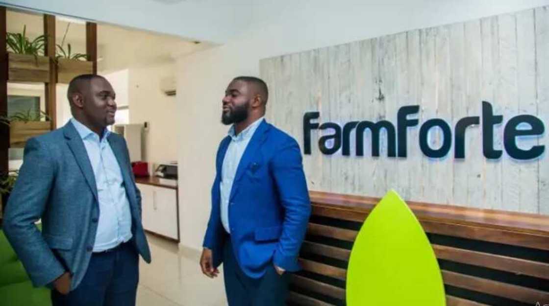 Agropartnership Farmforte Agropartnership Farmforte