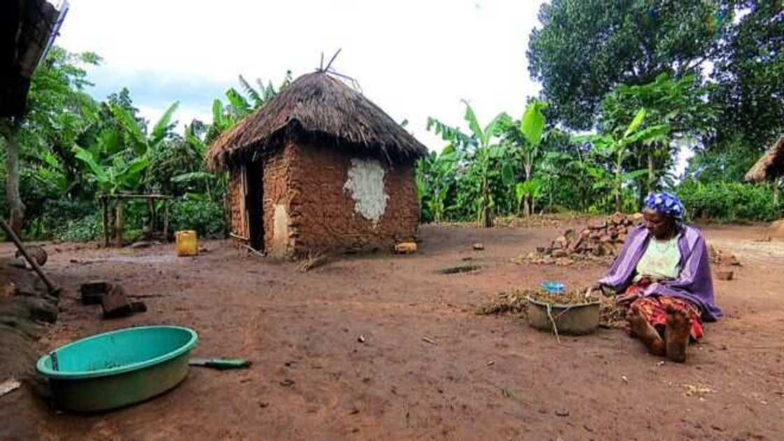 3 family members die in village devastated by elephantiasis