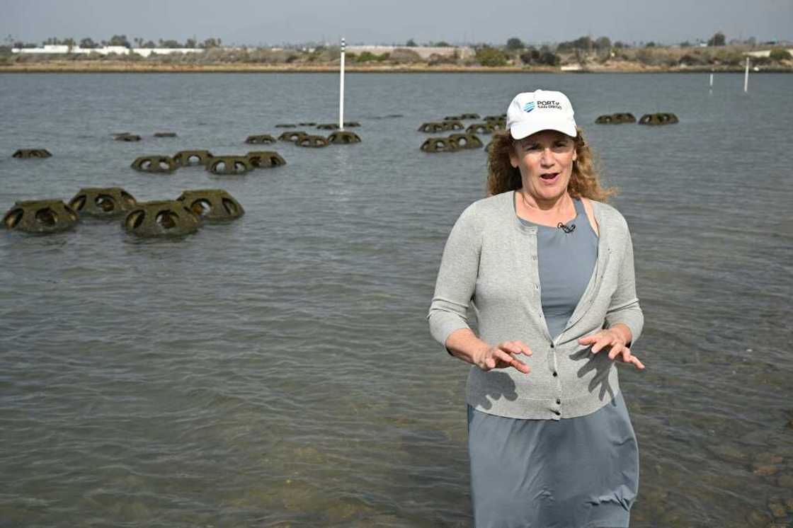 Eileen Maher, director of environmental conservation at the Port of San Diego, California, calls oysters 'one of the tools in our toolbox' to combat sea-level rise Eileen Maher, director of environmental conservation at the Port of San Diego, California, calls oysters 'one of the tools in our toolbox' to combat sea-level rise