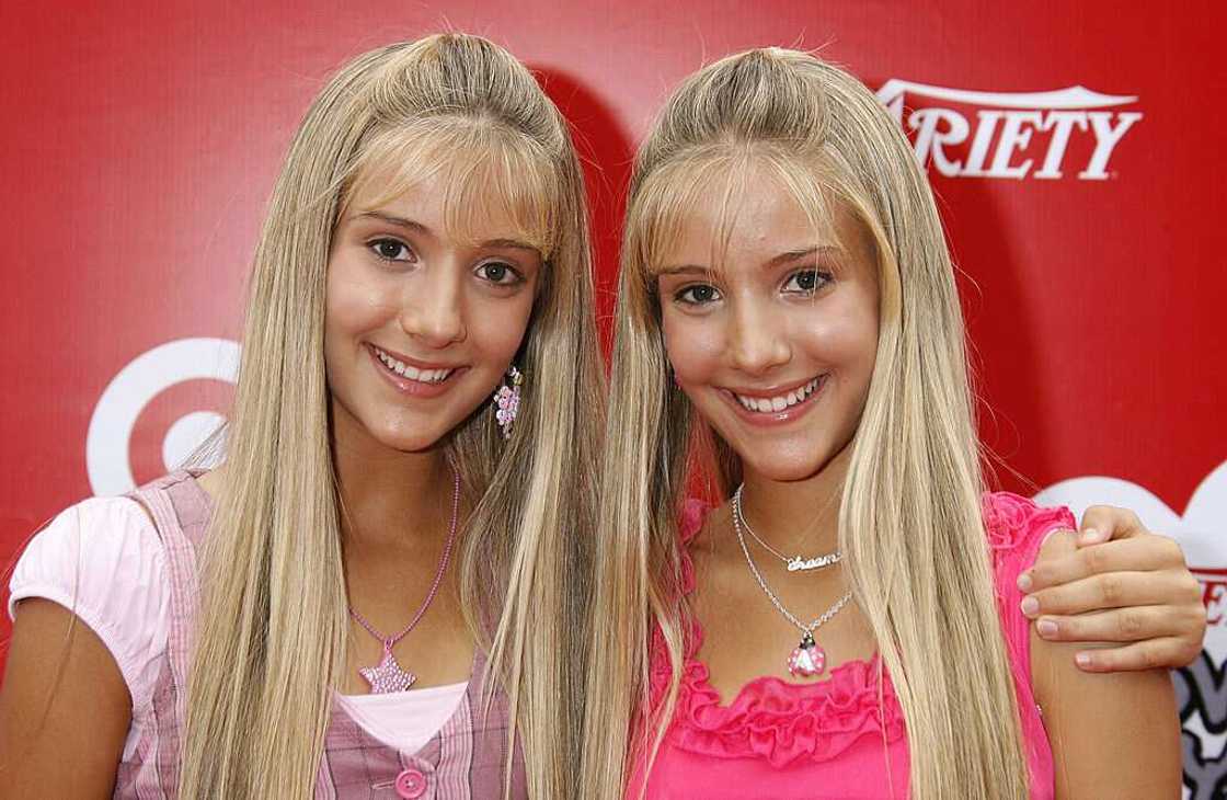 popular twins popular twins