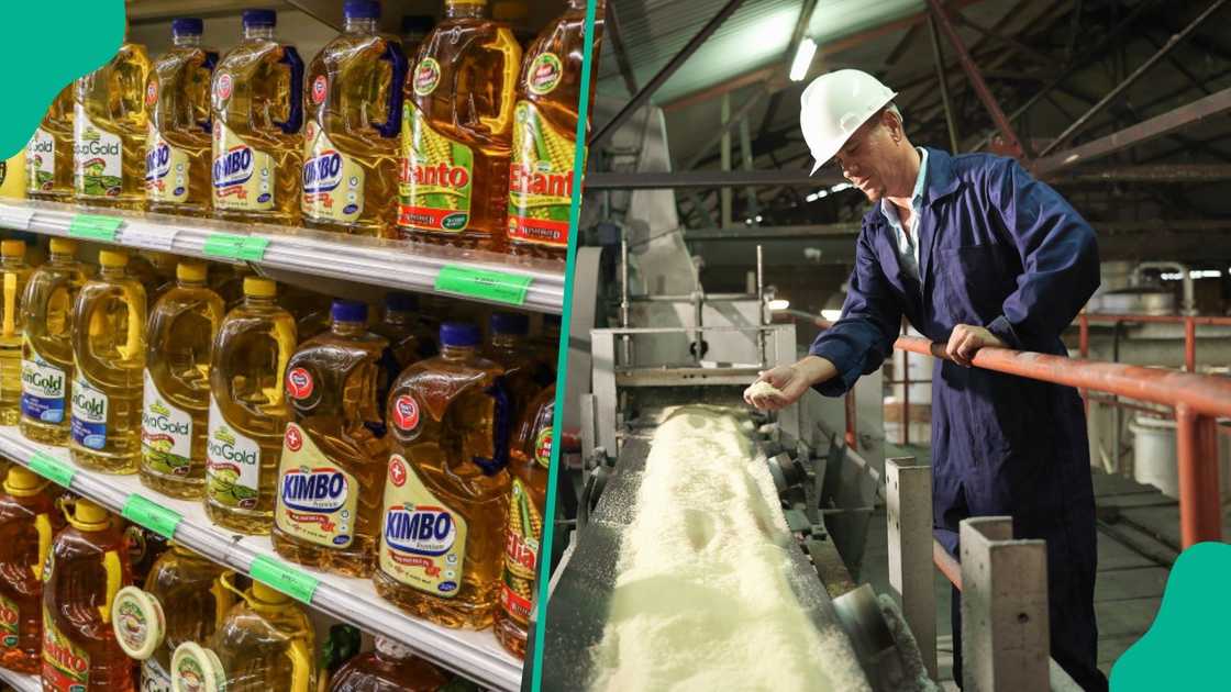 Prices of Sugar, Vegetable oils cause a dip in global food price index