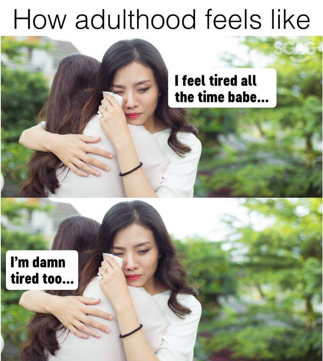 30+ relatable tired meme ideas to exchange with your coworkers 30+ relatable tired meme ideas to exchange with your coworkers