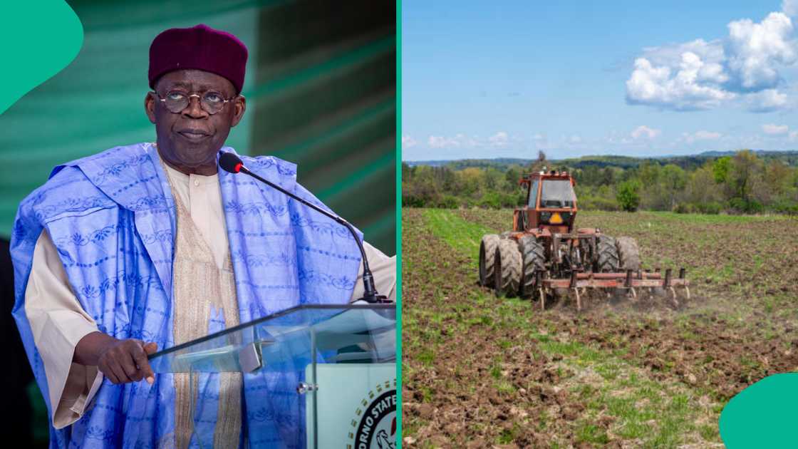 Shugaba Bola Tinubu Shugaba Bola Tinubu