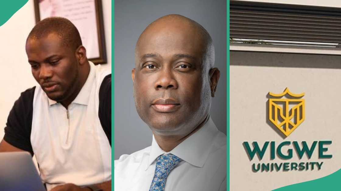 Wigwe University names new vice chancellor, man fumes Wigwe University names new vice chancellor, man fumes